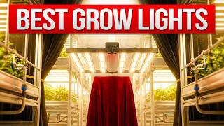 8 Best Grow Lights That Actually Work for Indoor Plants 2026