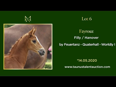 Lot 06 - Fayrouz