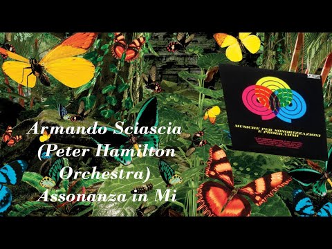 Peter Hamilton Orchestra (Armando Sciascia) ~ Assonanza in Mi #PeterHamilton #AssonanzainMi