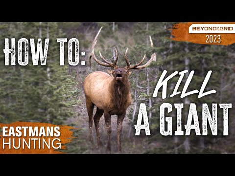 How to Find Big Bulls | Elk Hunting Secrets Beyond the Grid