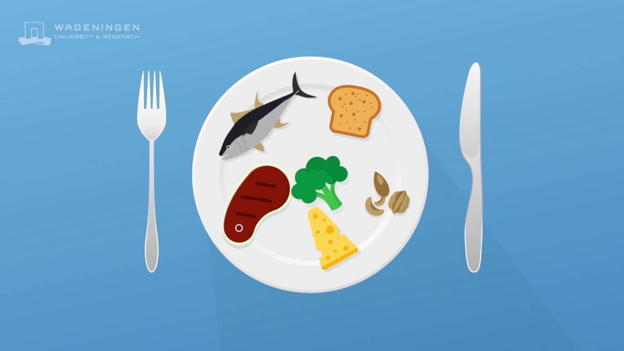 Sustainable Future Proteins