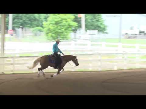 190525 Open Derby Brandon Brant on Don Magnum