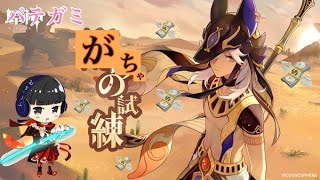 【原神】　セノきゅんでキュンキュン❤保険金ガチャ❤