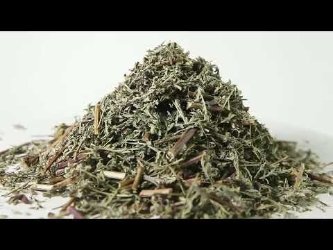 Полынь цитварная