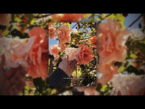 [SOLD] Konai x Luiz Lins x Kamaitachi x R&B SAD Type Beat - "la vie en rose" (Prod.Masuk)