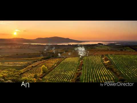 Andulička - DH Túfaranka