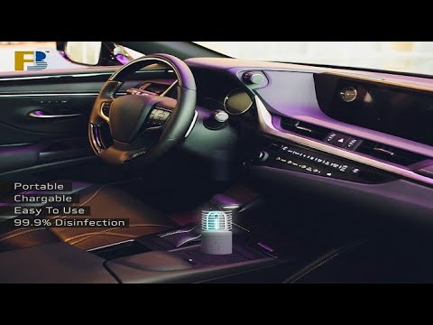 Limousine Car Rental