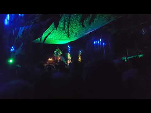 Isabeau Fort - Wilde Möhre 2018