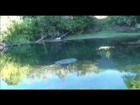 Fly Fishing in Futaleufu River