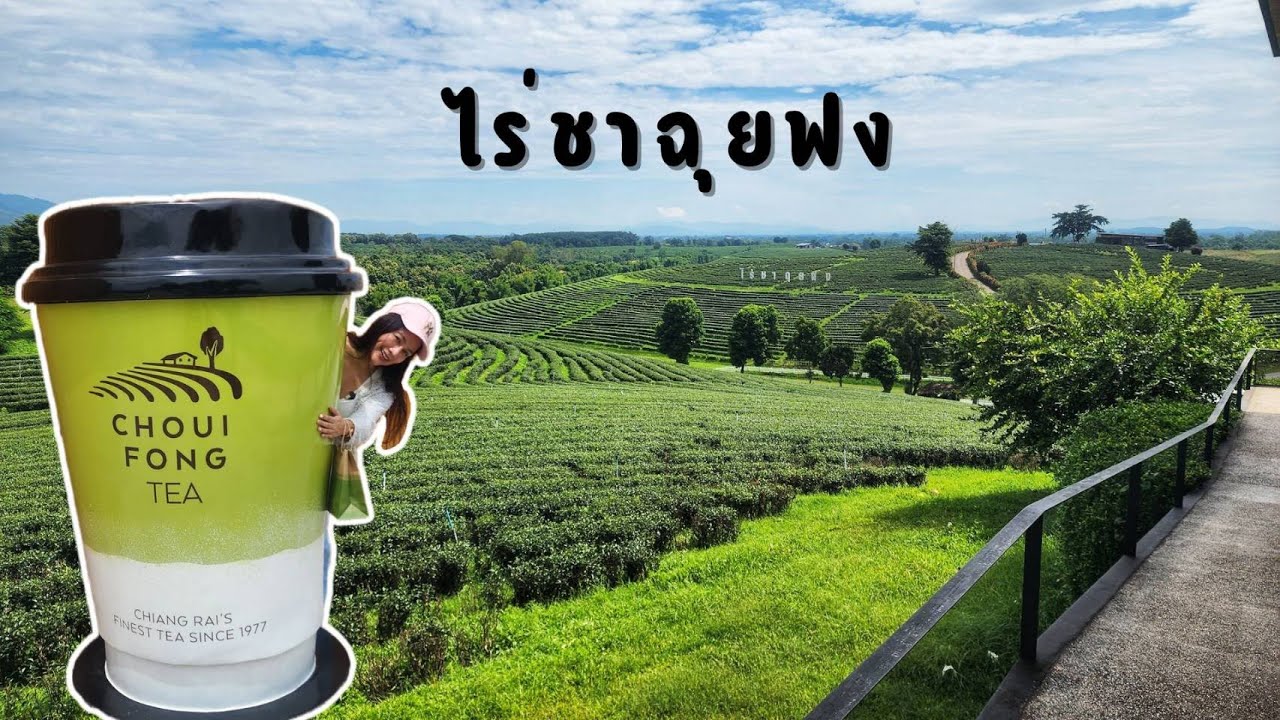 Choui Fong Tea Plantation