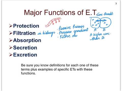 04A-Epithelial Tissues-Introduction