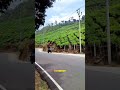 Travel Whatsapp Status Shorts Short Travelling Tamil Song Video Nature