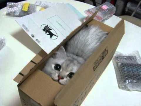 Stenchman - What The Future Holds [FULL]