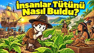 İnsanlar Tütünü Nasıl Buldu 12 Bin Yıllık Bir Yaprağın Gizli Tarihi