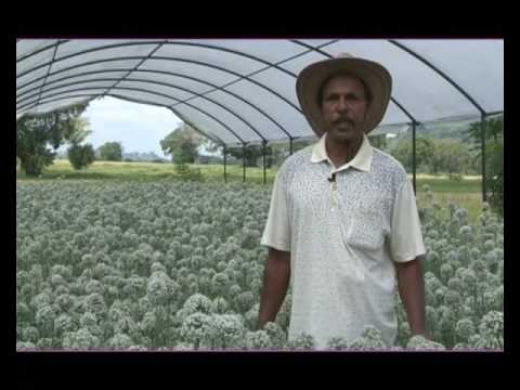 Govibimata Arunalu TV program 2017.05.21 @ 6.30 p.m on Rupawahini.