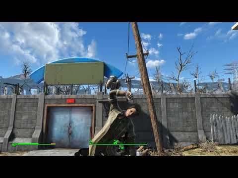 Fallout 4 dog(cat?)pile