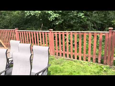 Frog clan painting group video.