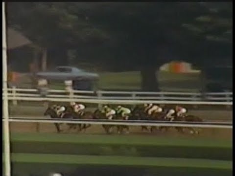 1984 Schuylerville Stakes