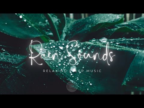 A Relaxing Rainy Day - Relax, Sleep, Healing with Soft Rain sounds