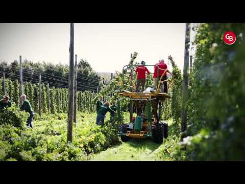 Hopoogst met muziek van Joep Sporck