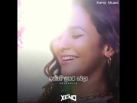 Hithe Upanni (Ameesha Minol) New song Lyrics Video | King Xenophile