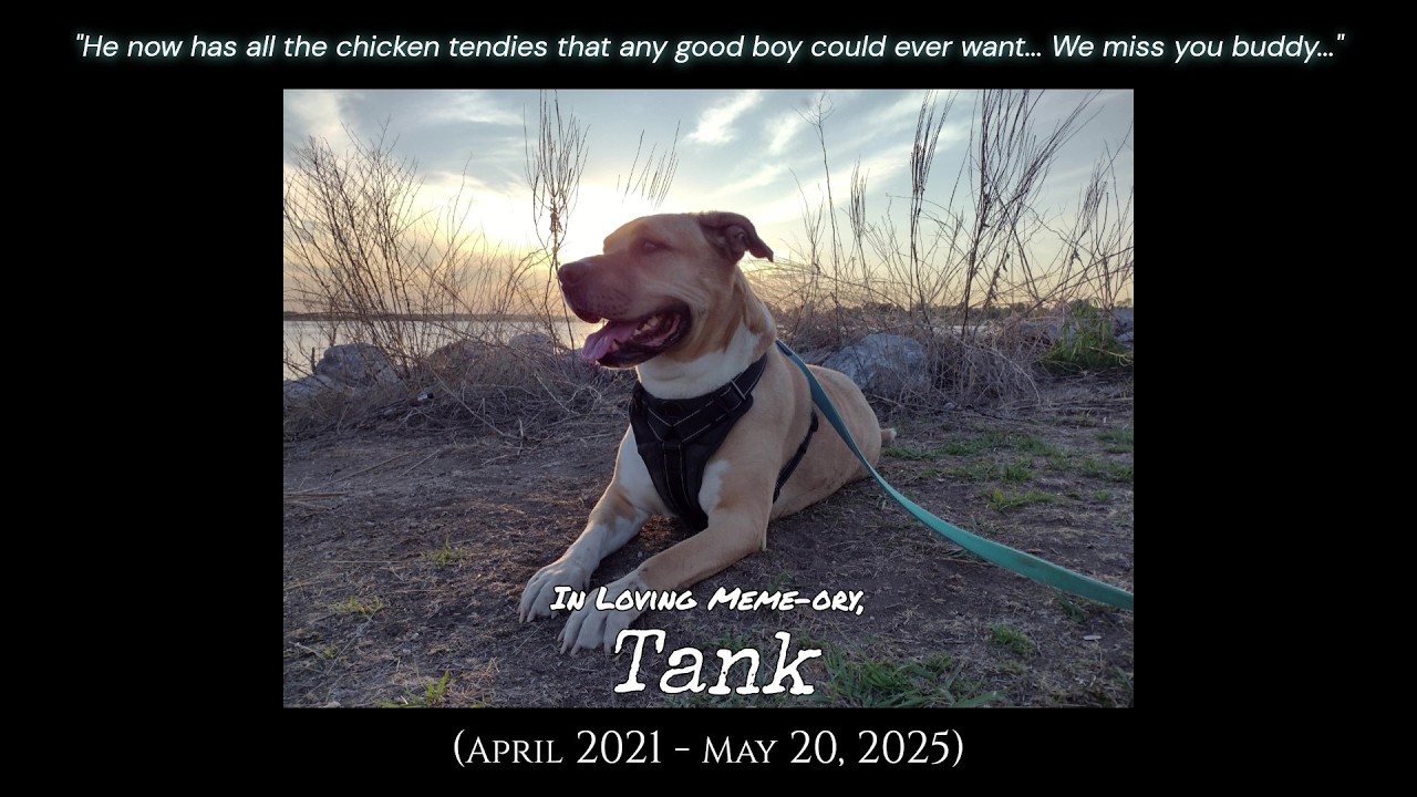 SLAMDANK MEMES: Ep.16 "In Memeory of Tank"