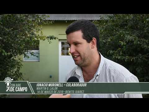 Ignacio Moronell - Martín G. Lalor - Jueves de marzo de 2019 - B. Juárez