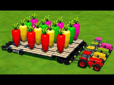 LOAD & TRANSPORT GIANT CARROTS WITH JOHN DEERE TRACTORS - Farming Simulator 22
