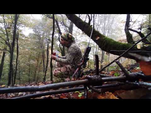 Day3611 AfterRainHikeCompanion 6Nov2021