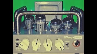 Video thumbnail for WANGS MINI 5 test by mr amp