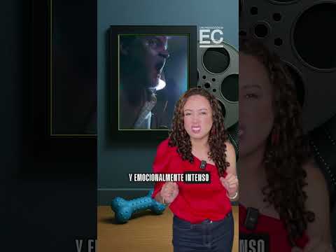 Good Boy | Trailer Oficial 2025 | Shane Jensen, Arielle Friedman, Larry Fessenden