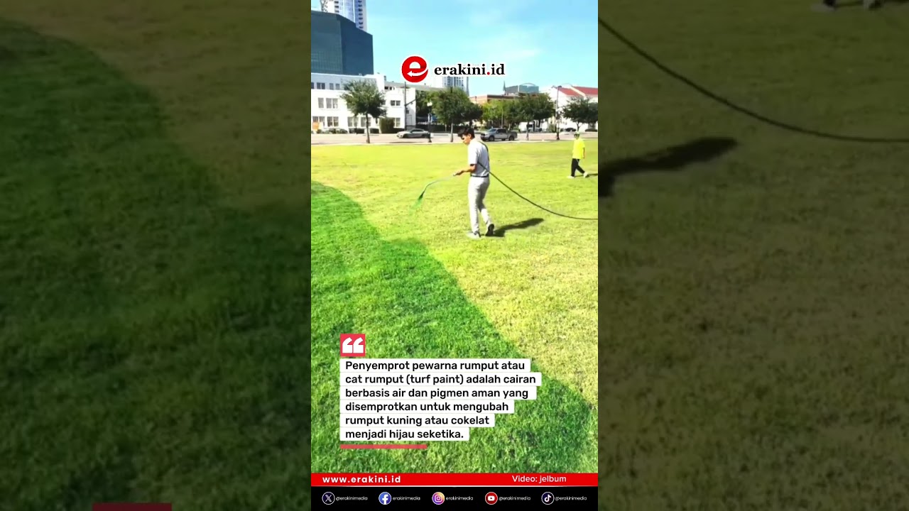 Rumput Kering Menjadi Hijau Seketika