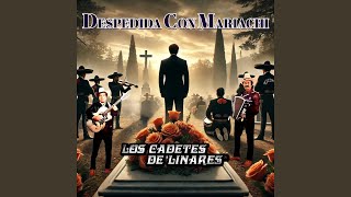 Despedida Con Mariachi