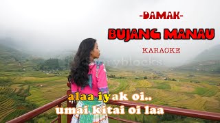 Download lagu Damak - Bujang Manau (Karaoke) mp3