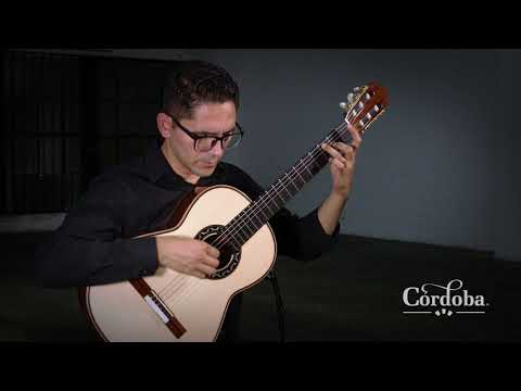 Cordoba Esteso - Solid Spruce Top, Solid Pau Ferro  Back/Sides - New Model image 19