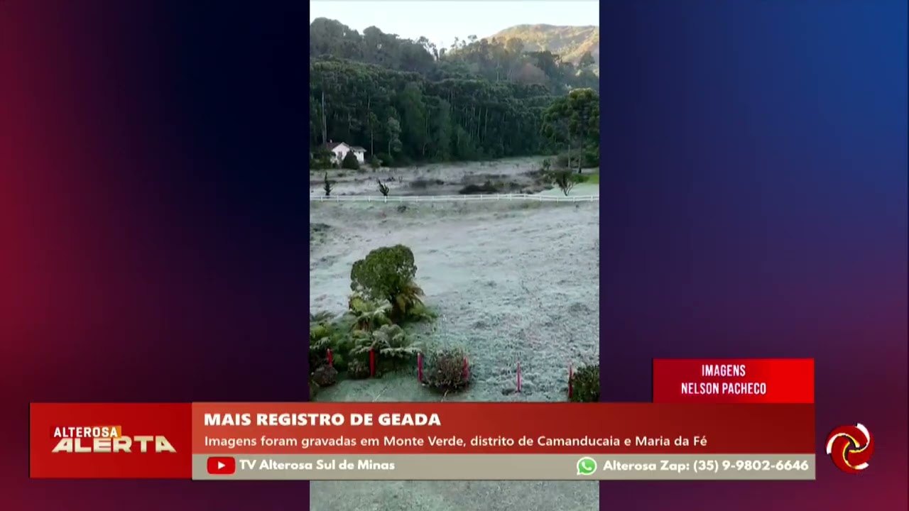 Geada volta a cobrir o Sul de Minas