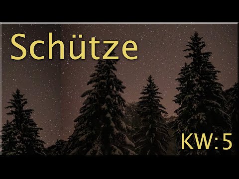 ♐ Schütze - KW 5 ♐  -  Tarot Wochenausblick  -