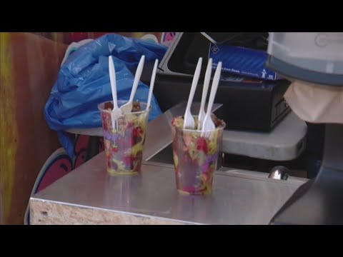 Dog tricks, online craze Dubai chocolate strawberries among activities at Fair - YouTube