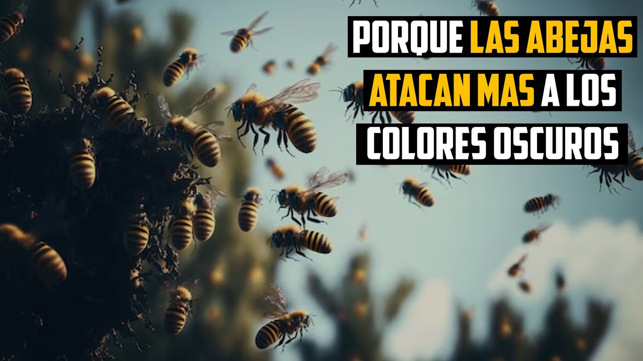¿Qué color odian las abejas?