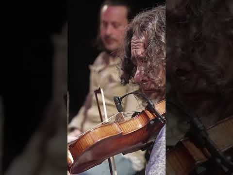 Sir Gregory of Lawson https://absil.one/tributetozakir.OYD #india #livemusic #scotland #zakirhussain