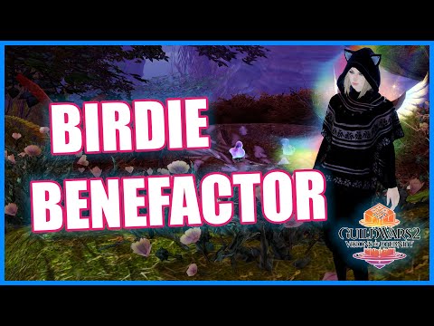GW2 - Birdie Benefactor (Mastery Point) - Achievement Guide -  Guild Wars 2 - Visions of Eternity