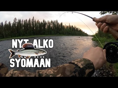 HARJUSTA LAPIN YÖTTÖMÄSSÄ YÖSSÄ