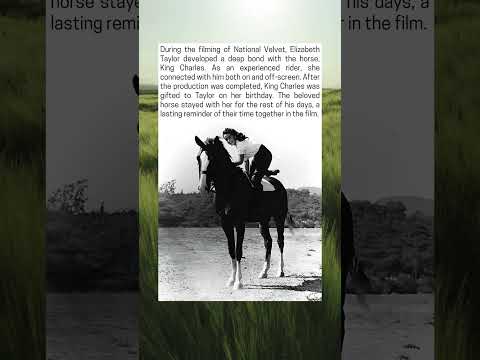 Elizabeth Taylor and Her Horse King Charles, Their Bond After National Velvet