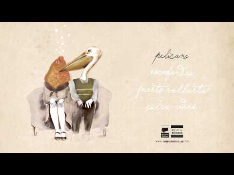 Constantina - Pelicano