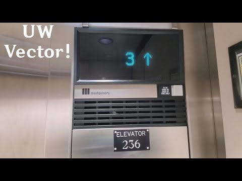 EPIC Montgomery Vector Traction Elevators at UW Allen Library - Seattle WA
