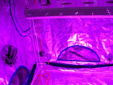 EarthFireGardens 288 watt LED grow light
