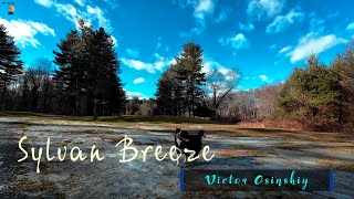 Download lagu Sylvan Breeze (2025) – Suite Alam Orkestra | 5.1 Surround mp3