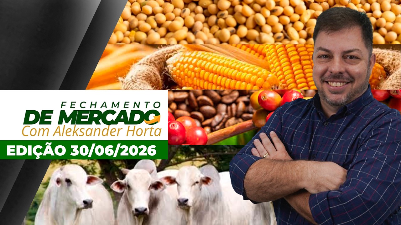 Pressão sobre arroba cresce e preços recuam e várias praças pecuárias; café sobe mais de 8% em...
