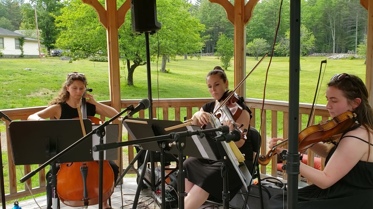 Promotional video thumbnail 1 for Lindsay Waller Music