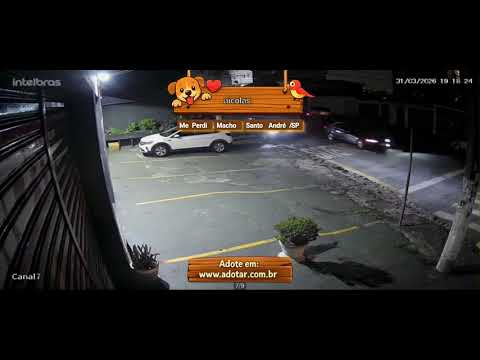 Vídeo de nicolas
